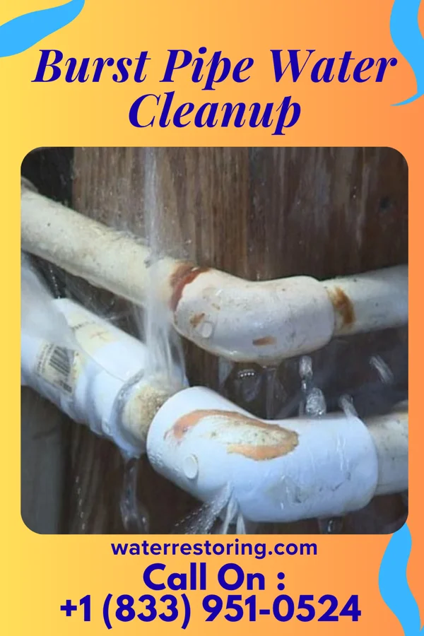 Burst Pipe Water Cleanup in Haledon, NJ