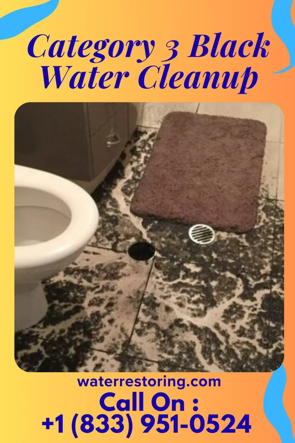 Category 3 Black Water Cleanup in Haledon, NJ