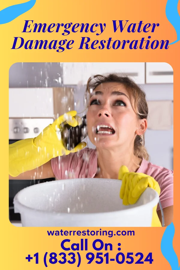 Emergency Water Damage Restoration in Haledon, NJ