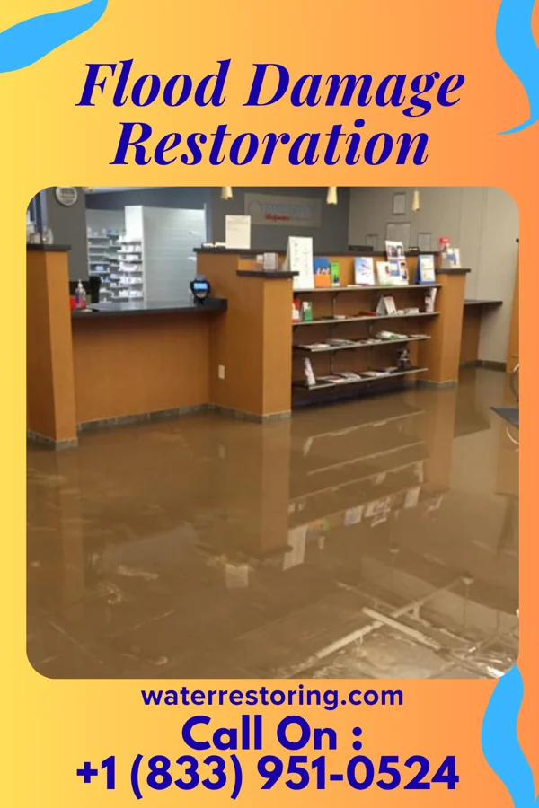 Flood Damage Restoration in Haledon, NJ