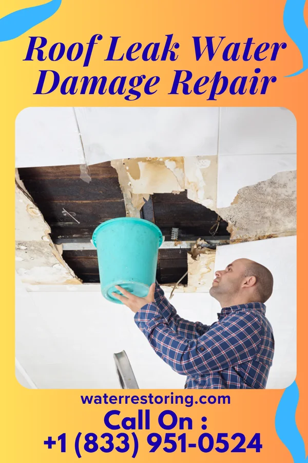 Roof Leak Water Damage Repair in Haledon, NJ