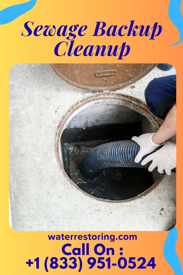 Sewage Backup Cleanup in Haledon, NJ