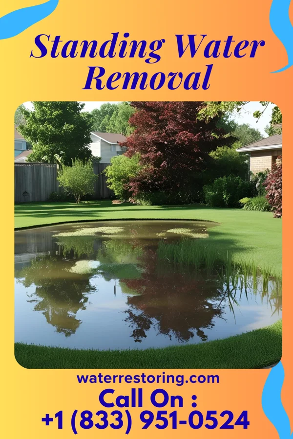 Standing Water Removal in Haledon, NJ
